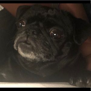 Meet your Posher, Baley